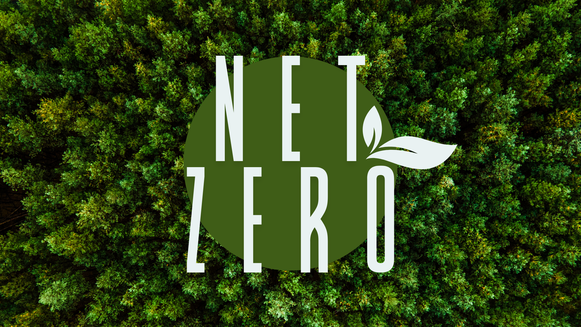 NZIA (Regulacja UE 2024/1735) – pozwolenia w 12/18 mies., nowe kryteria w aukcjach i przetargach. Co to znaczy dla producentów OZE w Polsce?