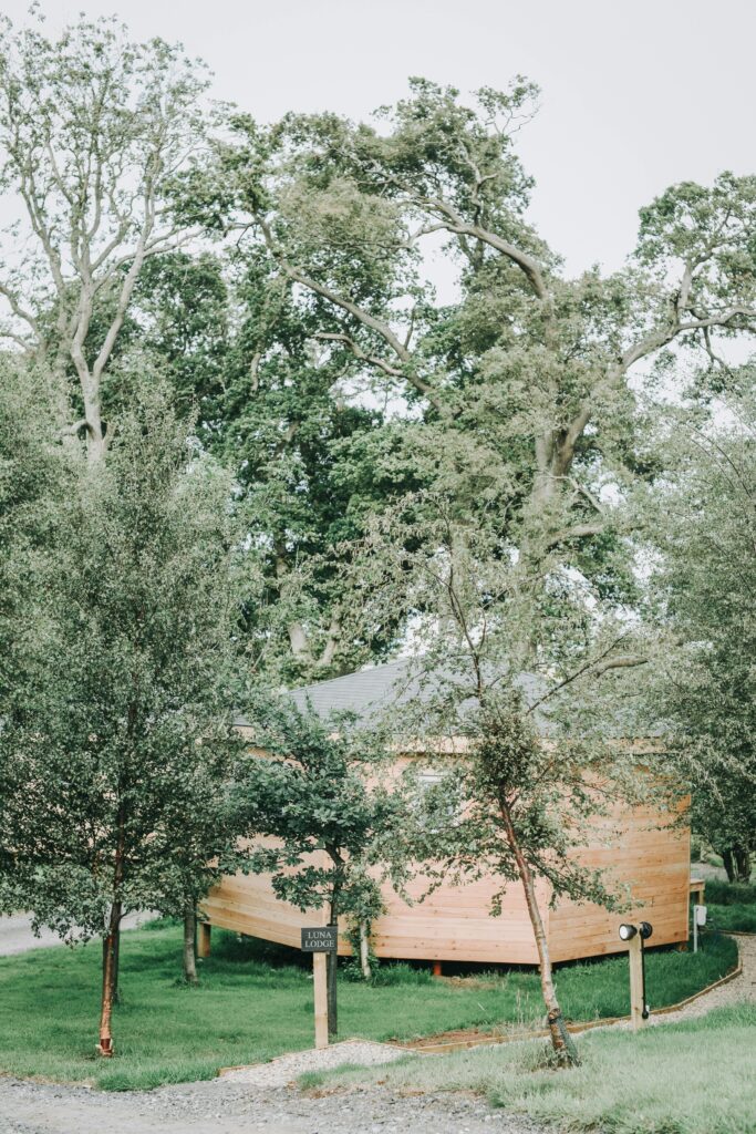 pexels-kooked-north-449369354-15489415-683x1024 Powierzchnia biologicznie czynna – Niewidzialny fundament zrównoważonego budownictwa i inwestycji