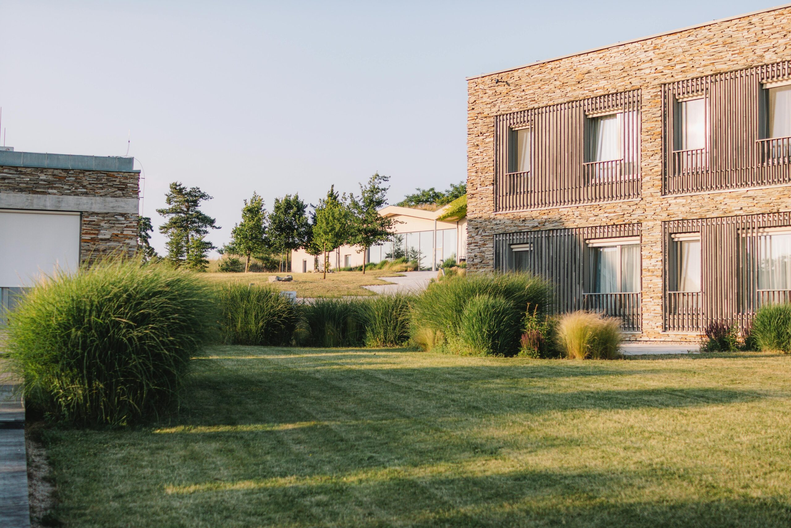 Powierzchnia biologicznie czynna