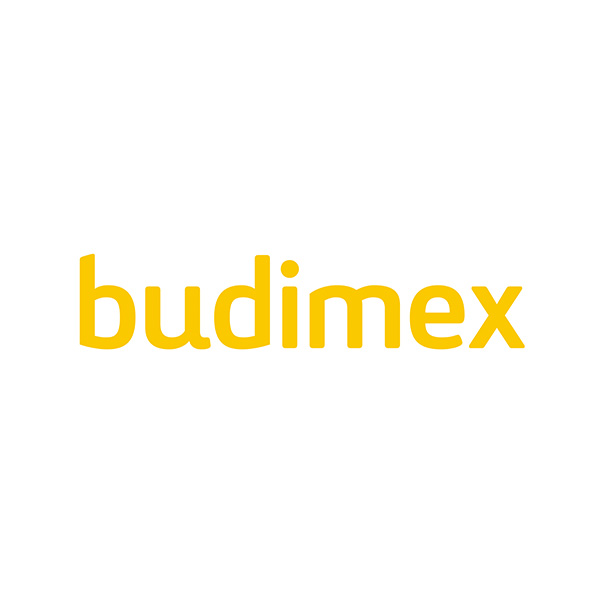 grupa budimex